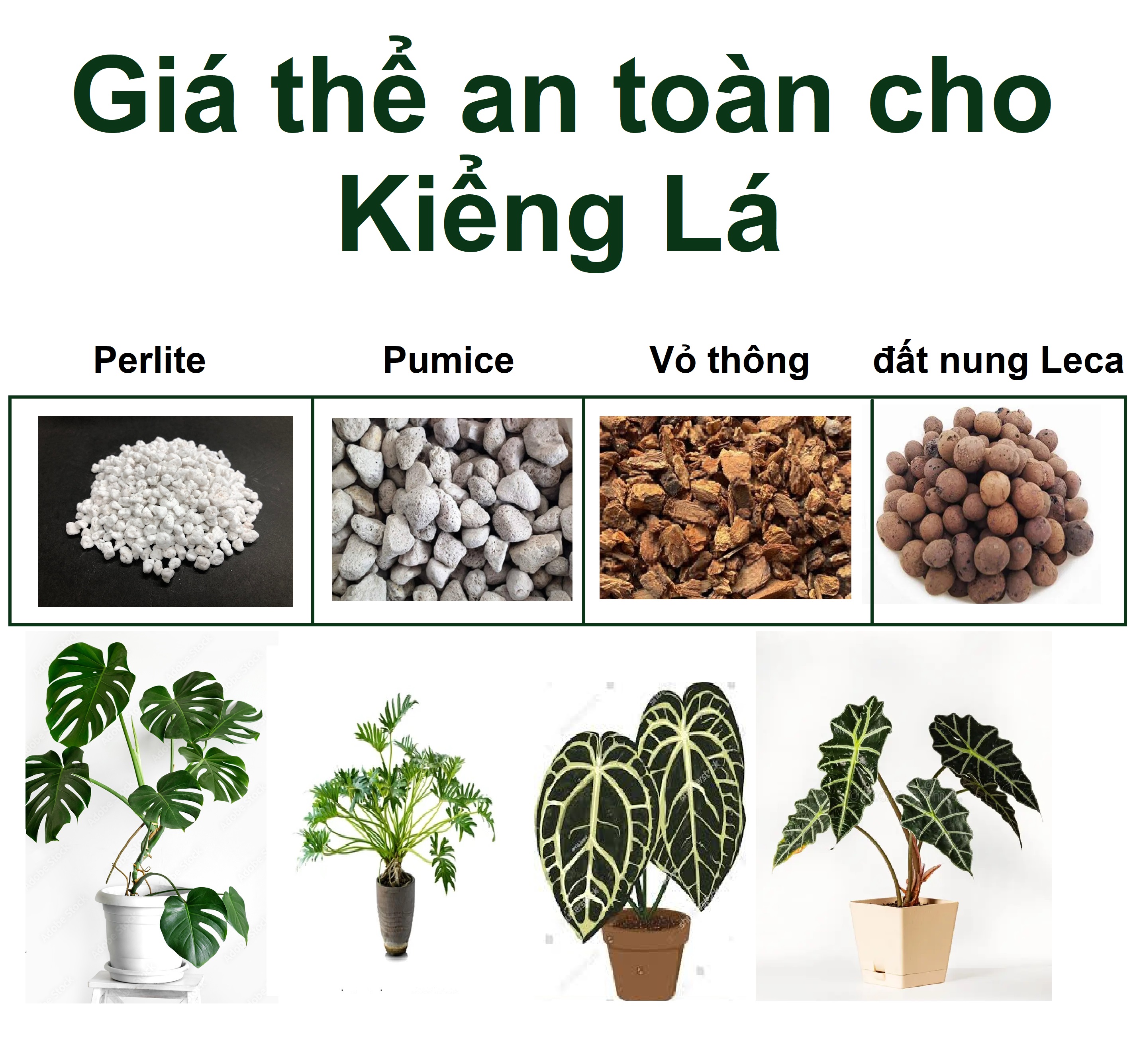 Loại giá thể nào phù hợp cho kiểng lá?